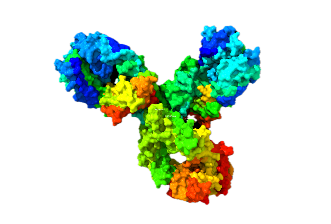 Antibody render